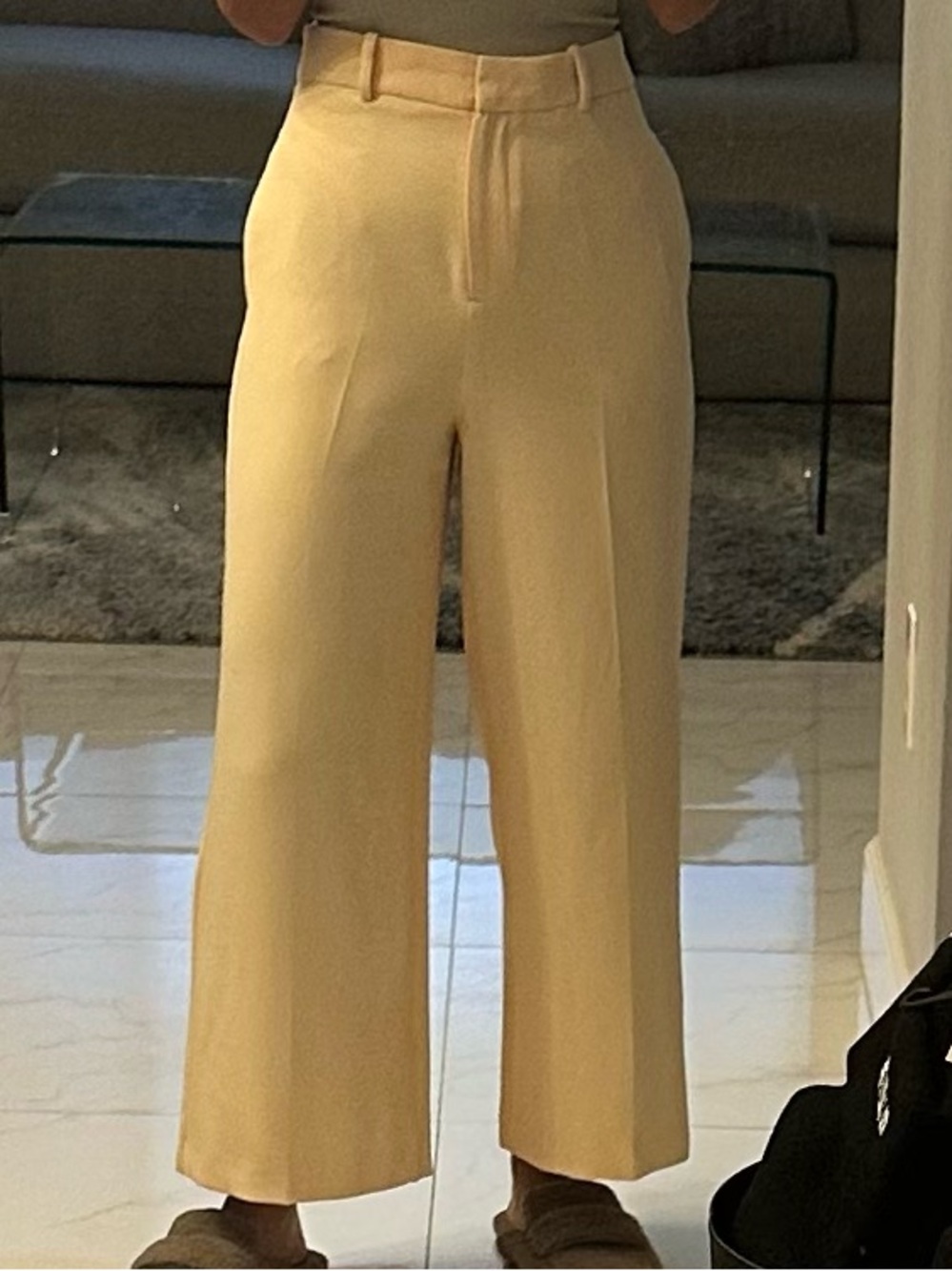 Zara Wide-Leg High-Rise Crop Pants in Cream